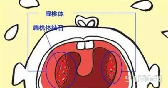微信图片_20200421154429.jpg
